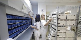 Cannabis: regular para proteger. Por qué España debe ir más allá del uso medicinal y despenalizar por completo