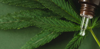 Cannabis Extract on Leaves of Cannabis.