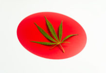 bandera japonesa con hoja de cannabis