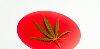bandera japonesa con hoja de cannabis