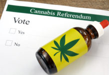 elecciones cannabis