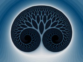glynn, fractal, tree of life