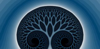 glynn, fractal, tree of life