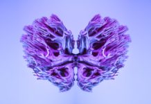 Descubrimiento científico revela cómo el LSD modifica la conectividad cerebral corazón lisérgico
