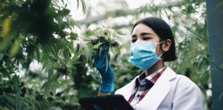 cannabis medicinal y científico