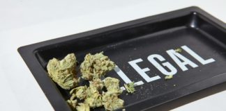cannabis legal