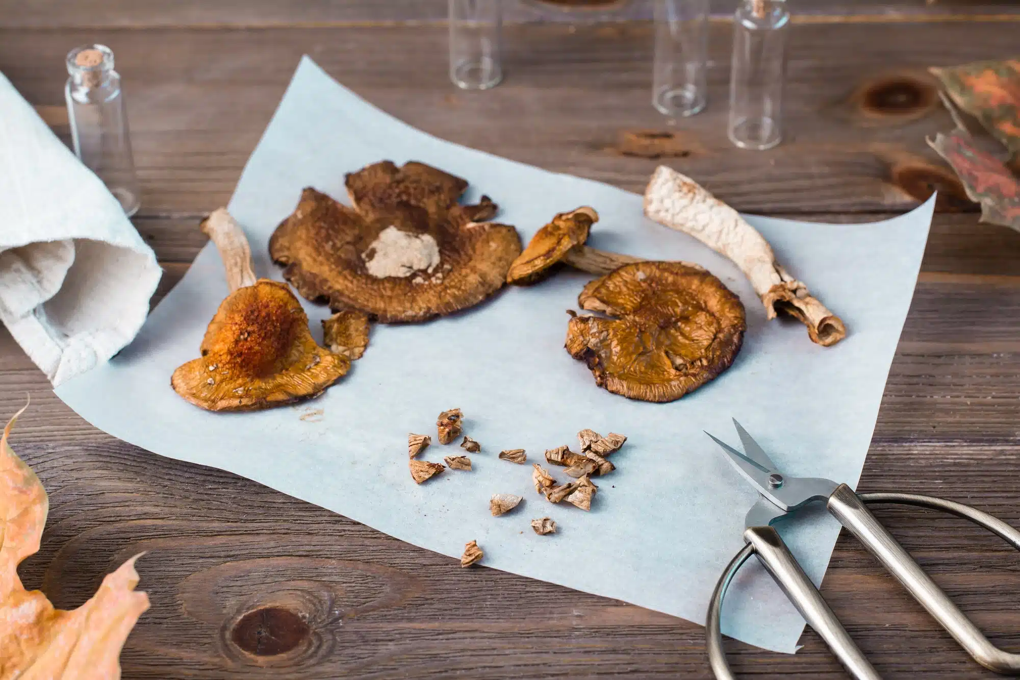 Dried chopped amanita ready to eat on parchment and scissors on a wooden table.