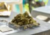cogollos de marihuana