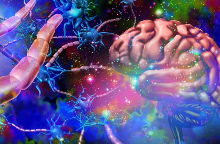 La guerra contra las drogas la están ganando los Estados, no la FDA: la lección del cannabis y el futuro de los psicodélicos Efectos psicodélicos en el cerebro