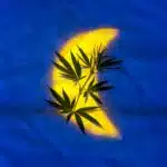 calendario lunar para cultivar marihuana
