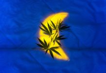 Maximiza tus cosechas con el calendario lunar para cultivar marihuana calendario lunar para cultivar marihuana