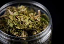 La DEA contempla reclasificar el cannabis, impulsando la industria legal y la investigación cannabis recrativo