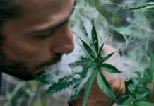 Alemania legaliza la posesión y el consumo del cannabis: hasta 50 gramos en casa y 25 gramos en la calle Legalizacion cannabis alemania
