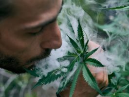 Legalizacion cannabis alemania