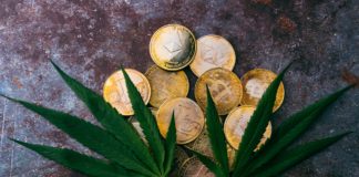 monedas y hojas de cannabis