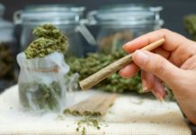 Mi hierba es la mejor Woman hand holding Pre-Rolled cones for smoking cannabis with cannabis indica in a clear bottle