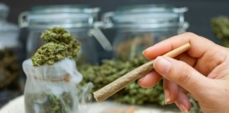 Mi hierba es la mejor Woman hand holding Pre-Rolled cones for smoking cannabis with cannabis indica in a clear bottle