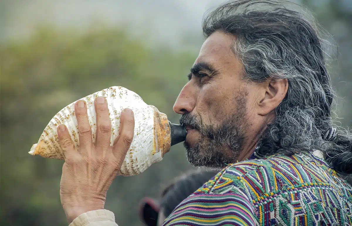 Taita Iv&aacute;n