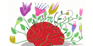 Psicodélicos: El misterio detrás de cómo cambian nuestra percepción del mundo