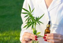 Productos de CBD, la clave del éxito