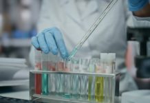 Desarrollan un nuevo sistema más rápido y sensible para detectar cannabis en saliva Lab worker filling test tube with experimental drug making research close up.