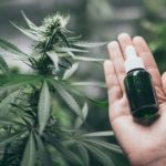 Cannabis contra el parkinson: Propiedades del CBG o cannabigerol