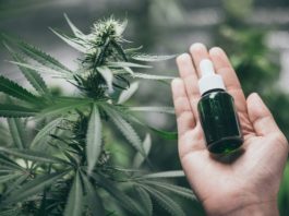 Propiedades del CBG o cannabigerol
