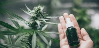 Cannabigerol mejora la memoria y alivia ansiedad y estrés según nuevo estudio Cannabis contra el parkinson: Propiedades del CBG o cannabigerol