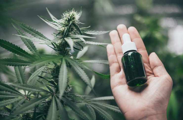 Propiedades del CBG o cannabigerol