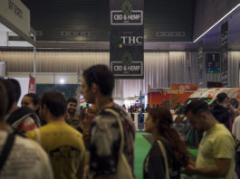 Spannabis Bilbao 2026: más de 20.000 asistentes refuerzan el papel de la ciudad como epicentro europeo del cannabis