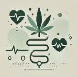 Síndrome metabólico: Qué es, por qué deberías preocuparte y cómo el cannabis puede ayudar Síndrome metabólico: Qué es, por qué deberías preocuparte y cómo el cannabis puede ayudar