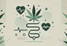 Síndrome metabólico: Qué es, por qué deberías preocuparte y cómo el cannabis puede ayudar Síndrome metabólico: Qué es, por qué deberías preocuparte y cómo el cannabis puede ayudar