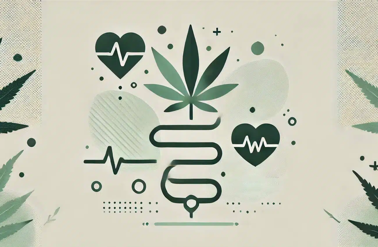 Síndrome metabólico: Qué es, por qué deberías preocuparte y cómo el cannabis puede ayudar