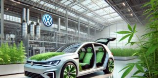 ¿Por qué Volkswagen está interesado en el cáñamo?
