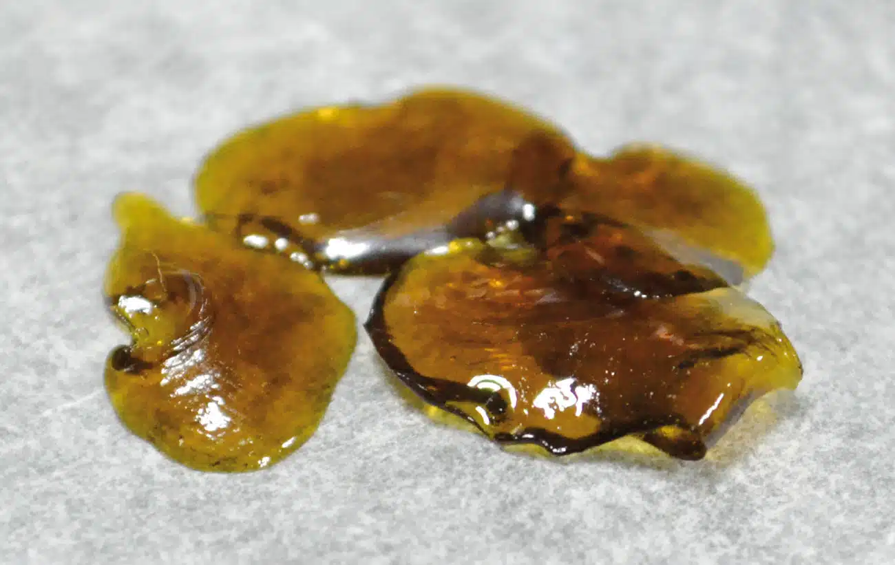 Amber Glass CBD-rich (Raro Genetics)