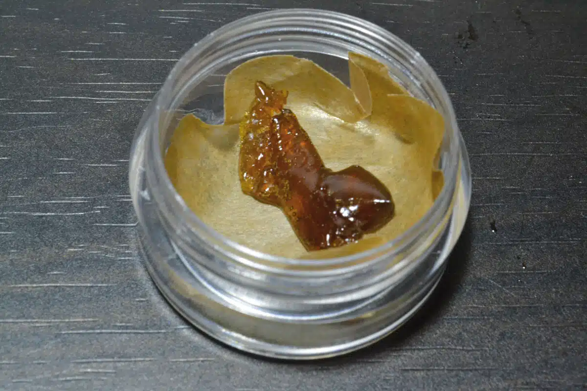 Shatter (Raro Genetics)