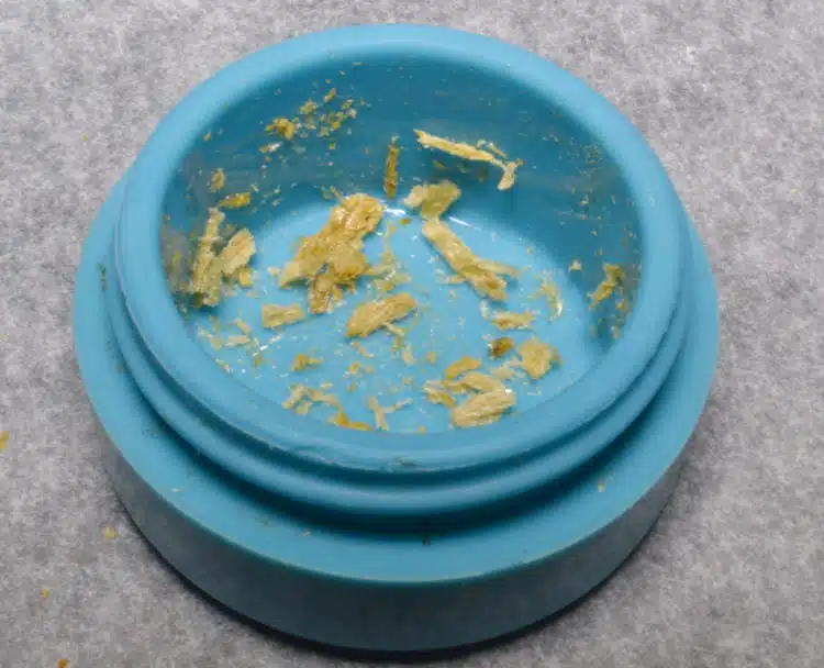 White Budder rico en THC (Raro Genetics)