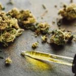 cogollos y aceite de cannabis