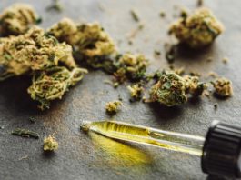 cogollos y aceite de cannabis