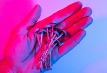 Maryland abre el camino hacia la legalización de psicodélicos medicinales psilocybin psychedelic mushrooms