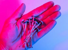 Maryland abre el camino hacia la legalización de psicodélicos medicinales psilocybin psychedelic mushrooms