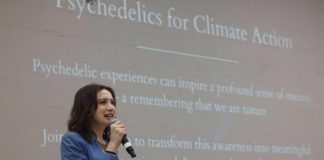 Psicodélicos contra el cambio climático: Una nueva conciencia para salvar el planeta