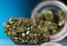 Por qué España debe ir más allá del uso medicinal del cannabis y despenalizar por completo Cannabis medicinal en hospitales