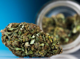 Cannabis medicinal en hospitales