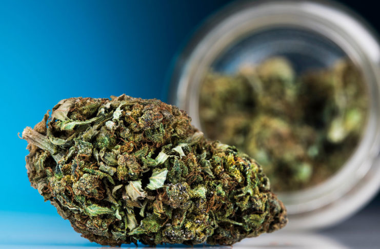 Cannabis medicinal en hospitales