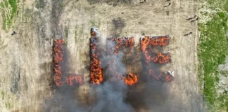 Turquía intoxica a un pueblo entero al quemar cannabis incautado Quemar cannabis incautado
