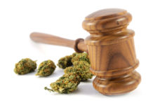 Sentencia absolutoria por cáñamo industrial en España