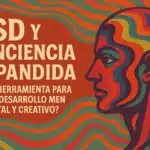 LSD y conciencia expandida: &iquest;Una herramienta para el desarrollo mental y creativo?