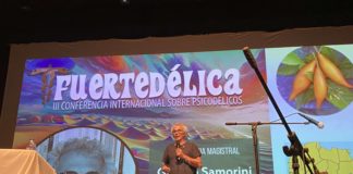 Fuertedélica reúne a expertos de todo el mundo para debatir el futuro de la terapia psicodélica