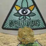 Vaporizando la Spannabis Champions Cup Muestra participante